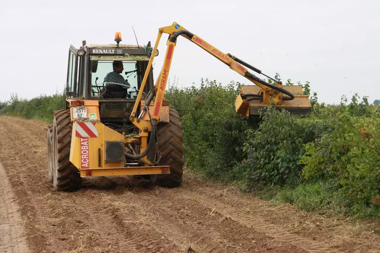 Entretien des haies en bordure de parcelles