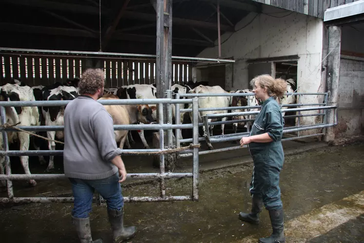 Une agricultrice devant ses vaches laitières