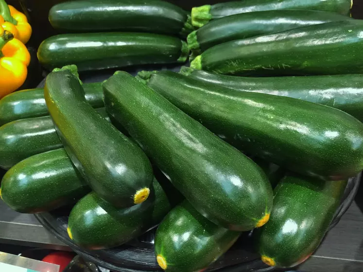 Plusieurs courgettes