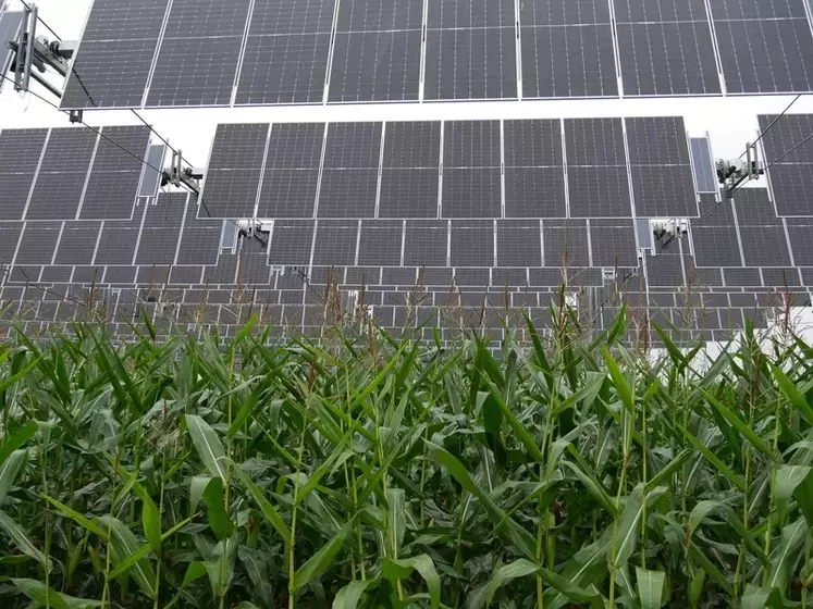 Canopée agrivoltaïque installée à Brouchy dans la Somme sur 3 hectares de grandes cultures par TSE.