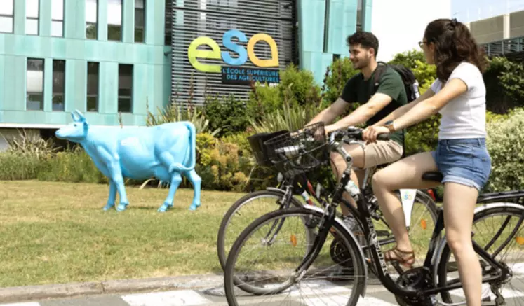 Des étudiants à vélo devant l'école ESA d'Angers