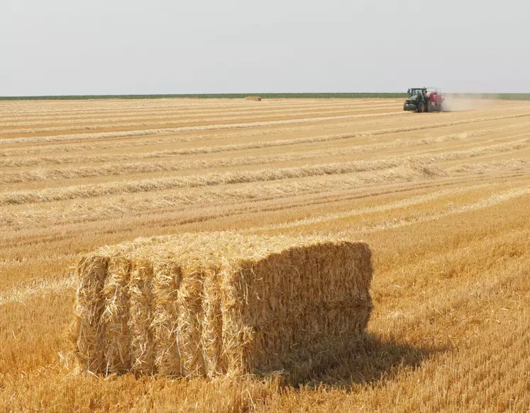 campagne recrutement saisonniers