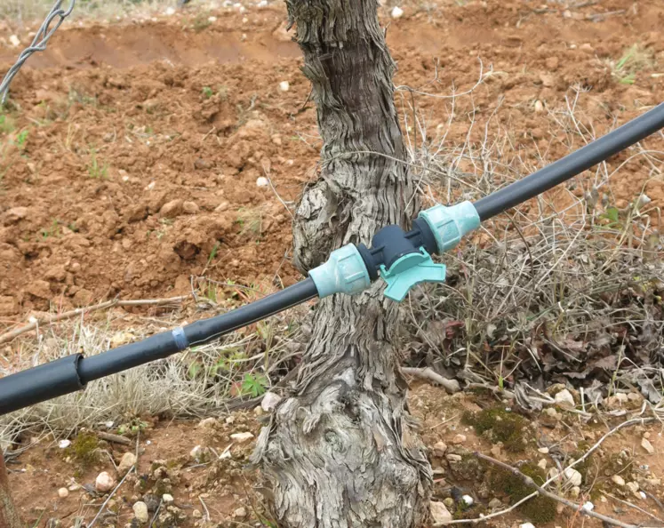 système d'irrigation dans les vignes
