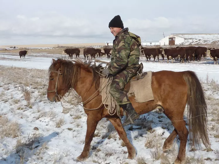 Elevage Bovin Kazakhstanais