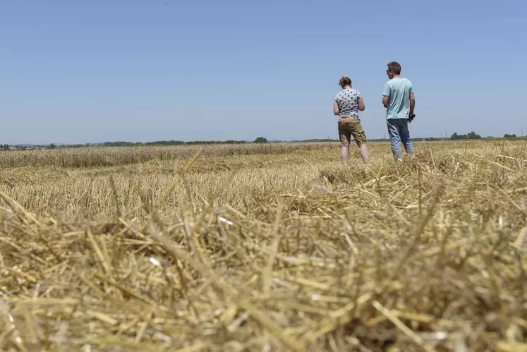 étude renouvellement actifs agricoles