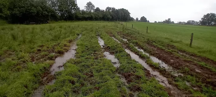 Priairie gorgée d’eau chez un éleveur du Cantal