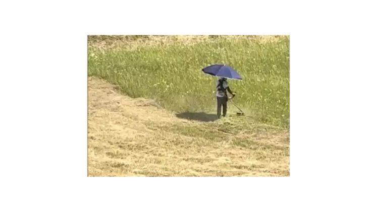 Un homme tond avec une ombrelle.
