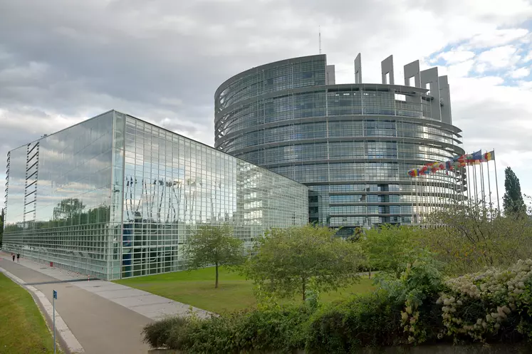 Siège du Parlement européen. Union européenne. Europe. Murs de vitres. Reflets. Architecture moderne et végétation.