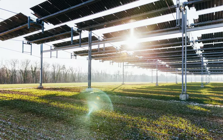 panneaux solaire champ agrivoltaïsme soleil