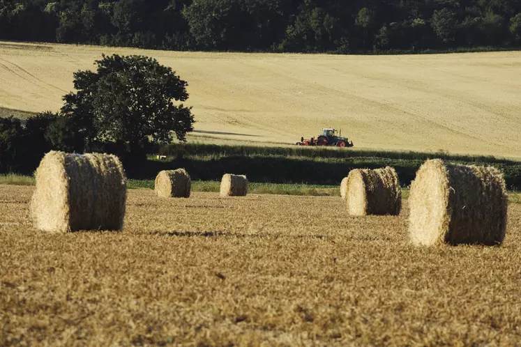 Paysage agricole avec bottes de paille