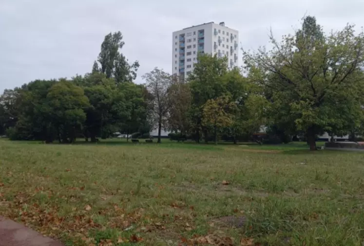 Parcelle d'herbe entourée d'arbres avec une tour de logements sur le fond de l'image