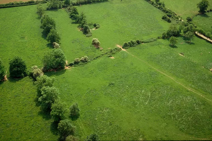 Paysage de bocage vue du ciel avec des haies, des herbages et des prairies. 