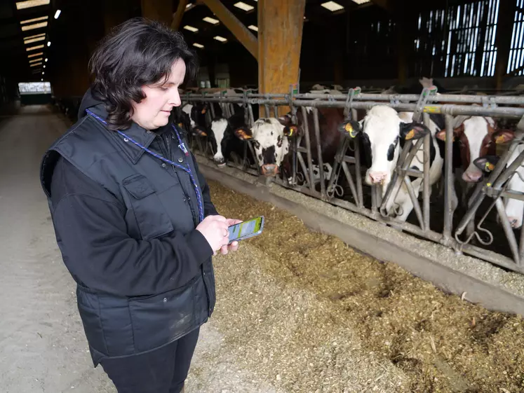 agricultrice smartphone vaches cornaids