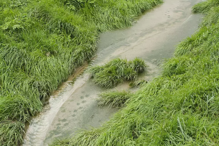 fossé inondé