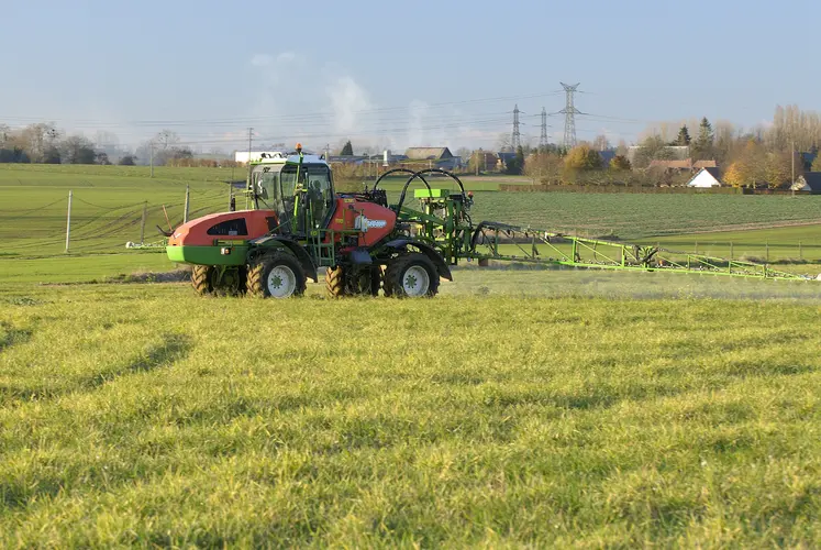 Application de Round-up (glyphosate) sur des repousses de blé