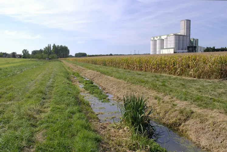 Zone non traitée (ZNT) au bord d’un cours d’eau 