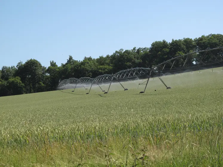 rampe d'irrigation dans un champ