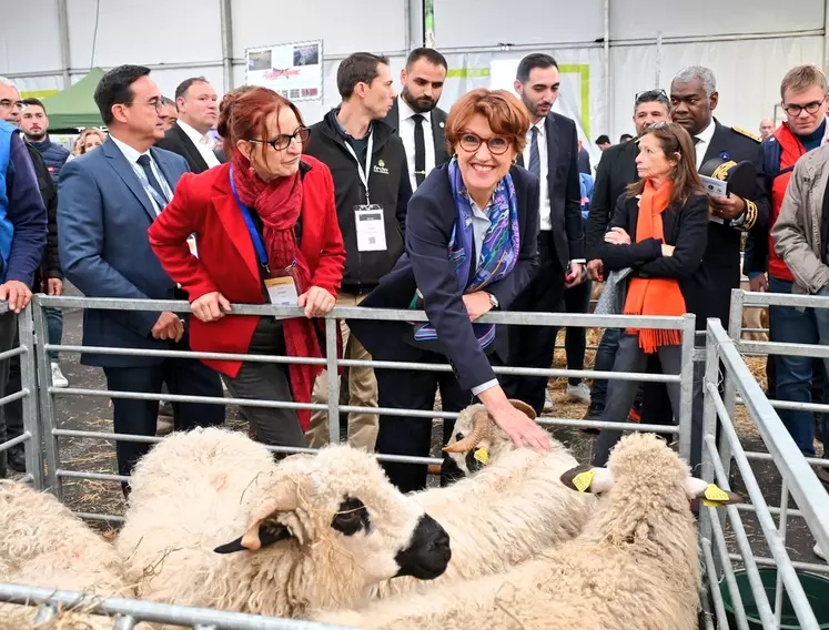 Annie Genevard, ministre de l’Agriculture, avec Michèle Boudoin présidente de la fédération nationale ovine, devant des moutons le 3 octobre sur le Sommet de l’élevage.