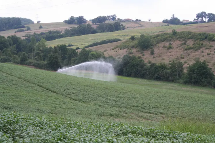 irrigation dans un champ vallonné