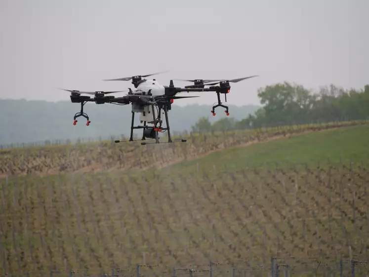 drone dans un champ de vignes