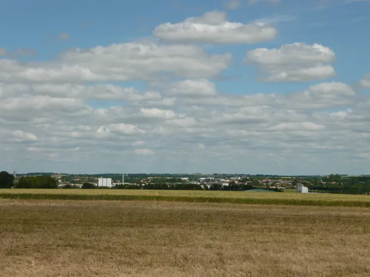  Plaine céréalière de l'Aunis aux portes de Surgères vue depuis l'entrée ouest de la ville (en provenance de La Rochelle).