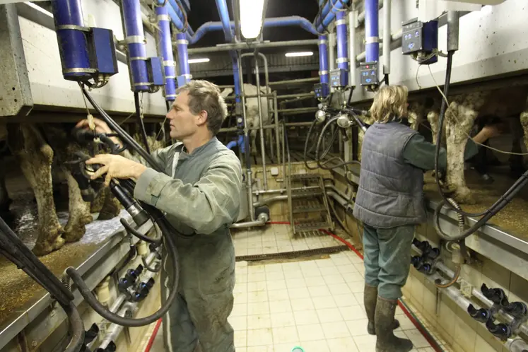 un homme et une femme travaillant dans une salle de traite