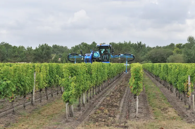 traitements champ de vigne