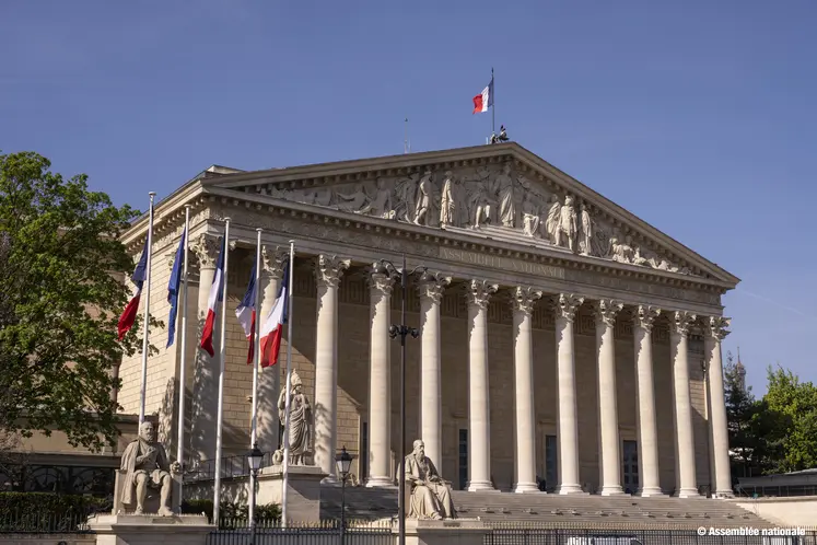 Colonnade de l'Assemblée Nationale. On y voit des drapeaux français. 