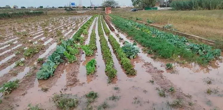 champs inondés