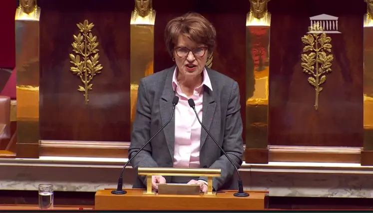 Annie Genevard à l'Assemblée nationale
