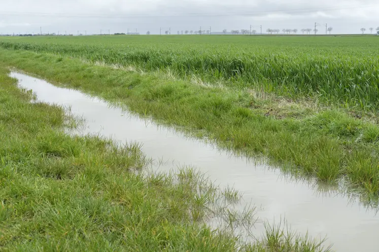 bordure de champ remplie d'eau