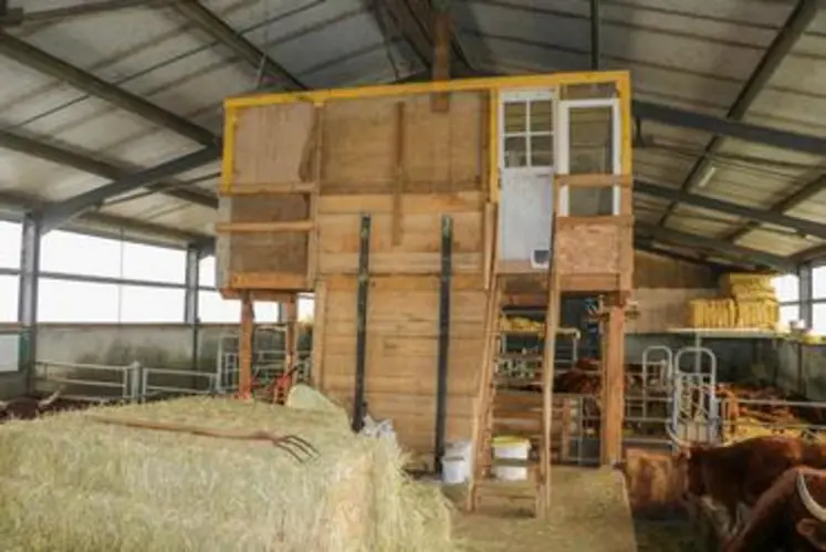 Local d’infirmerie en bois, suspendu en bout du couloir d’alimentation, dans le bâtiment d'élevage.