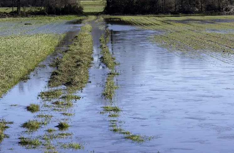 Terres agricoles inondées à cause de fortes pluies.