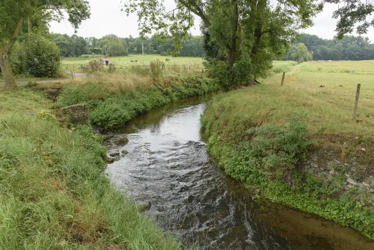 rivière bordant des champs avec des arbres
