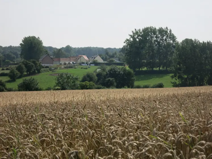 Terres agricoles avec au fond une maison