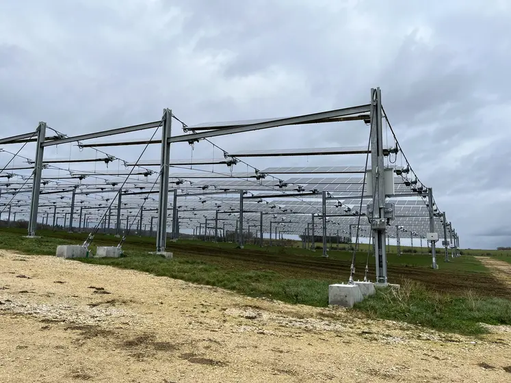 Parcelle grandes cultures en agrivoltaïsme avce des panneaux solaires
