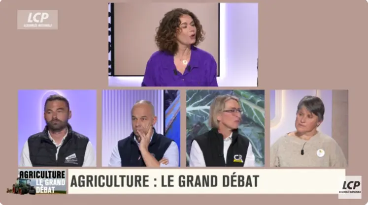 Pierrick Horel, Arnaud Rousseau, Véronique Le Floc'h et Laurence Marandola débattant sur LCP.