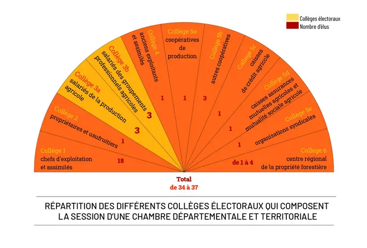 Répartition des différents collèges qui composent la session d'une chambre d'agriculture départementale et territoriale