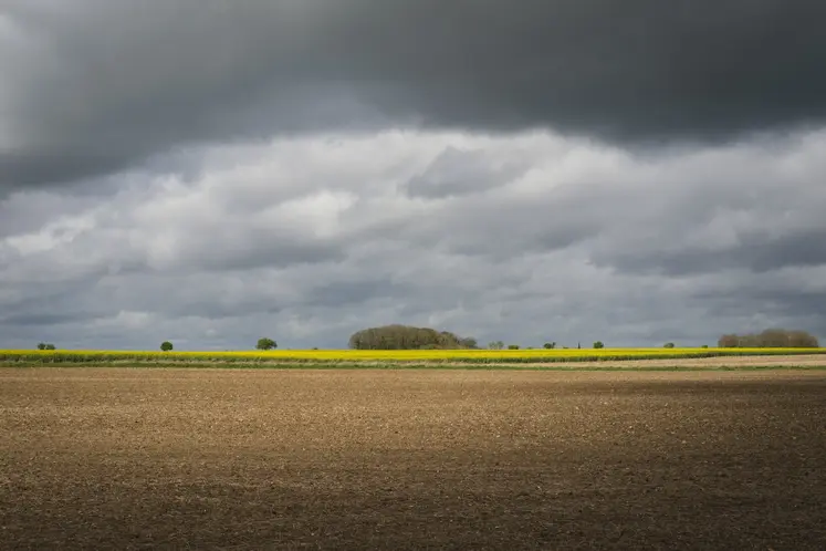 ciel menaçant au-dessus de champs