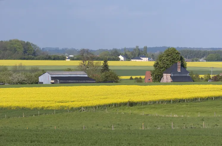 ferme perdue au milieu des champs