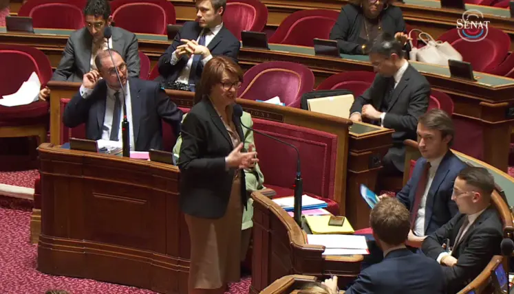 Annie Genevard, le 12 février lors de l’examen par le Sénat du projet de loi d’orientation agricole.