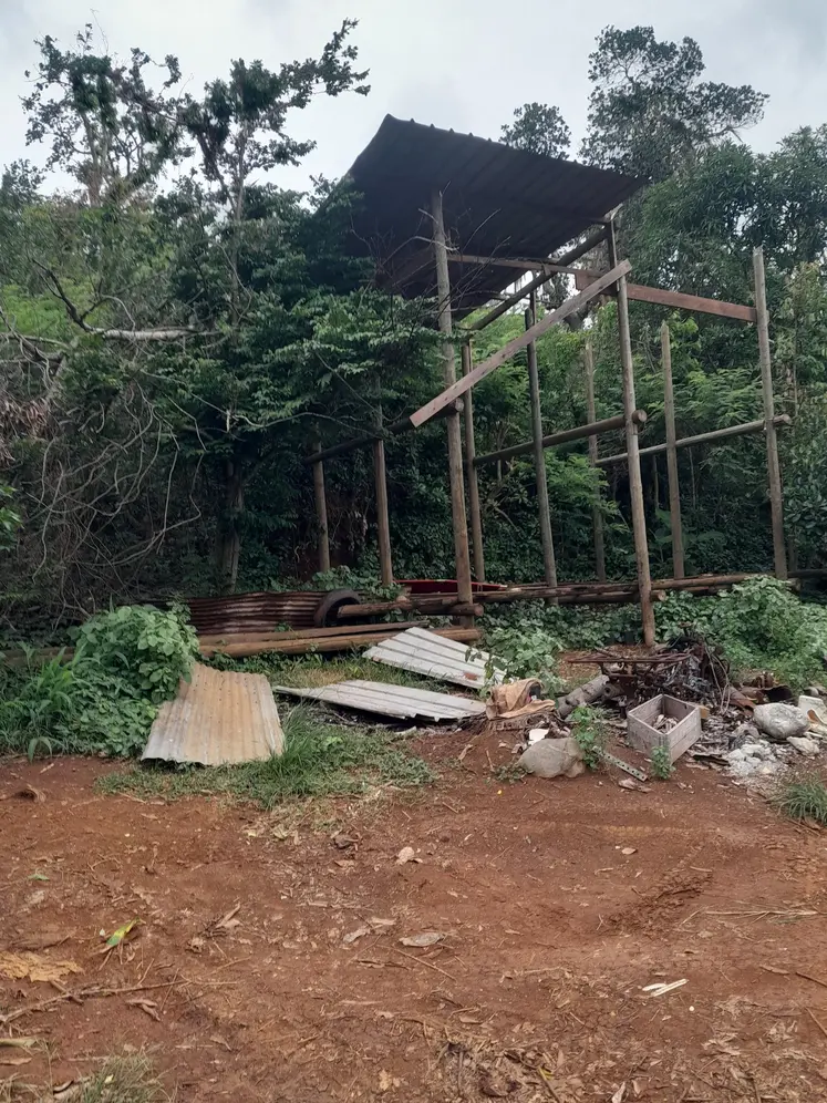 Images d'une exploitation agricole à Mayotte, deux mois après le passage du cyclone de Chido 