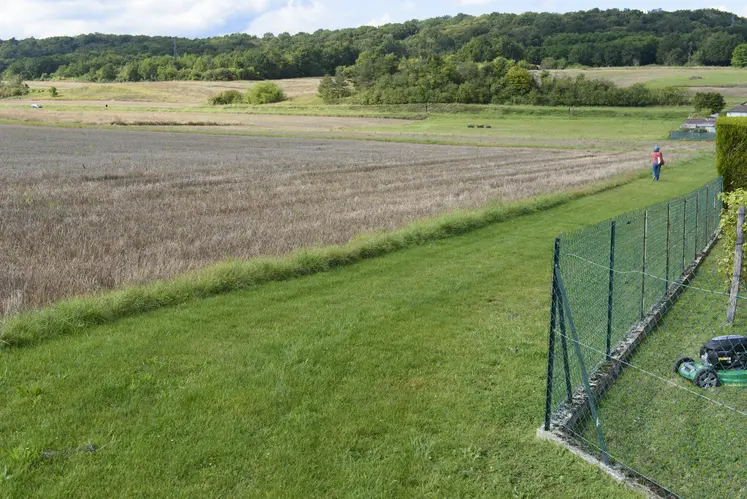 Bande enherbée en zone de non traitement, à proximité d'habitations le long d'un champ de blé. 