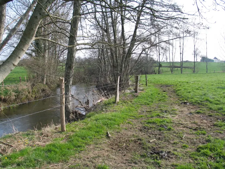 cours d'eau en bordure de prairie