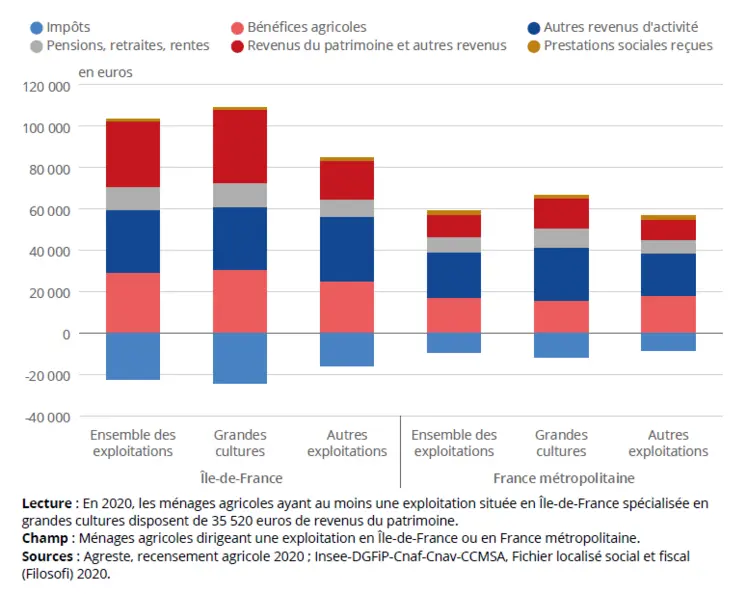 Composition du revenu disponible annuel moyen des ménages agricoles selon la spécialisation et la localisation de leur exploitation, en 2020