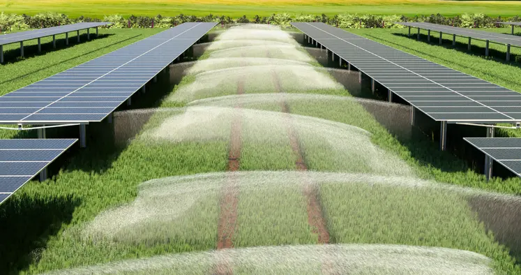 Image de trackers avec jets pour irrigation en 3D .