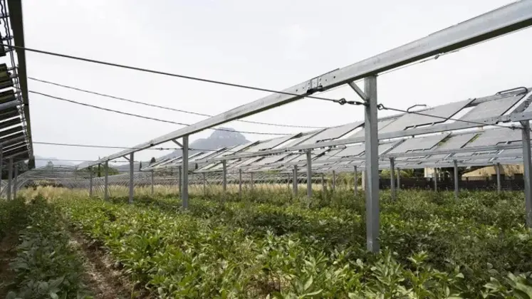 Panneaux agrivoltaïques  