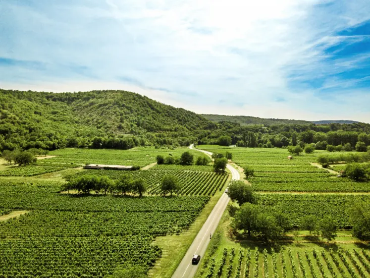 paysage agricole