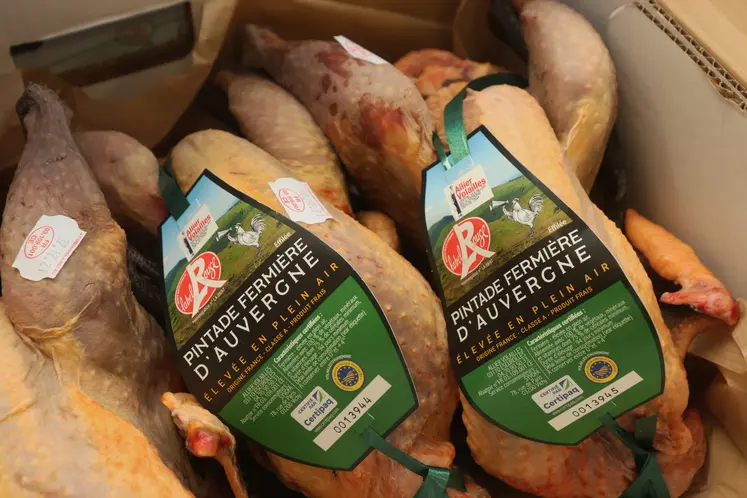 poulets label rouge dans un carton