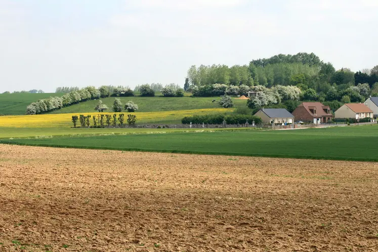 Terres agricoles avec un village  
